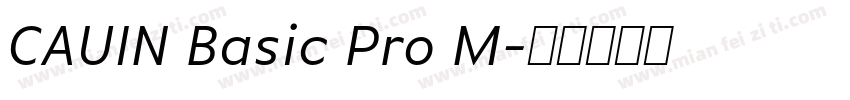 CAUIN Basic Pro M字体转换